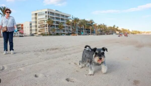 Playa ponent Salou petfriendly